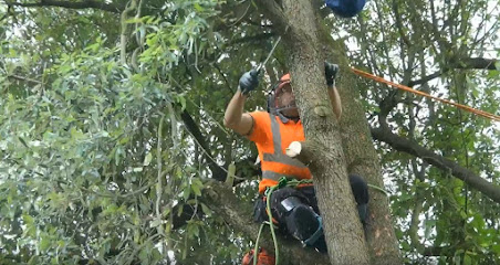JD Tree Cutting Service