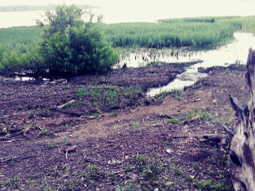 Park «Bowman Springs Park», reviews and photos, 7003 W Poly Webb Rd, Arlington, TX 76016, USA