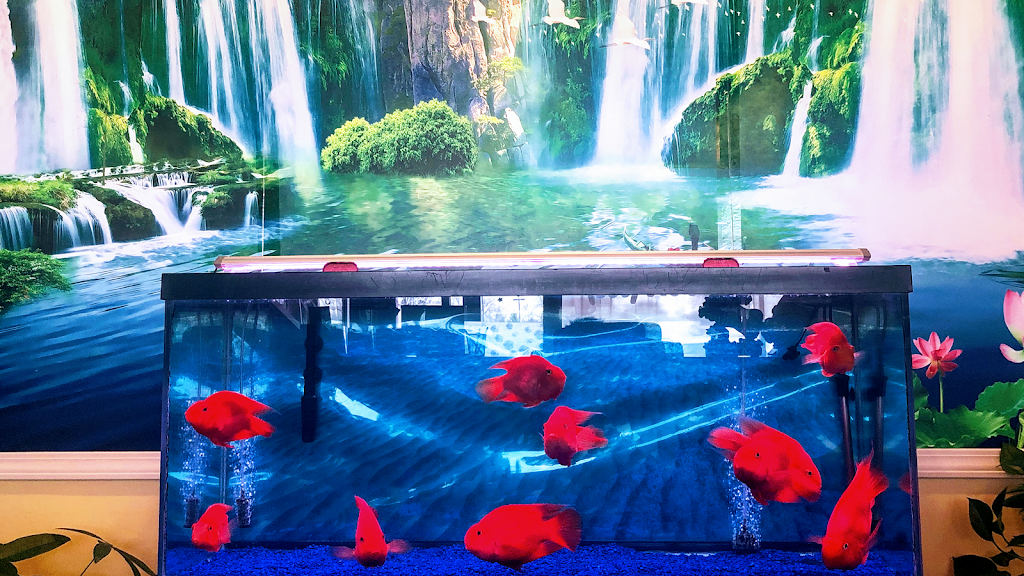 Sunny Foot Spa Lombard, IL 60148 Services and Reviews