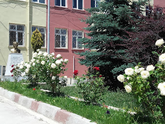 Bahadın Şehit Ali Akdoğan İlköğretim Okulu