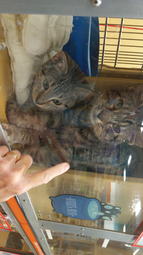 Pet Supply Store «PetSmart», reviews and photos, 14420 Farm to Market 2920, Tomball, TX 77377, USA