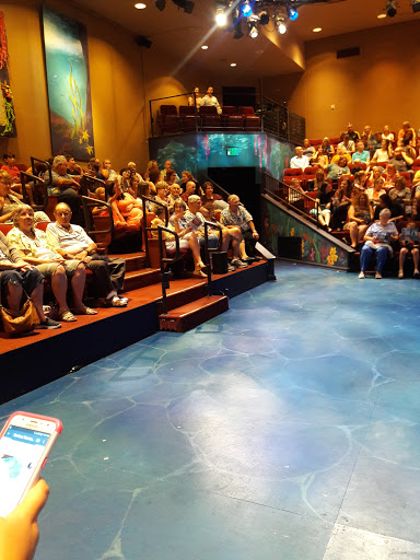 Performing Arts Theater «Hale Centre Theatre - Arizona», reviews and photos, 50 W Page Ave, Gilbert, AZ 85233, USA