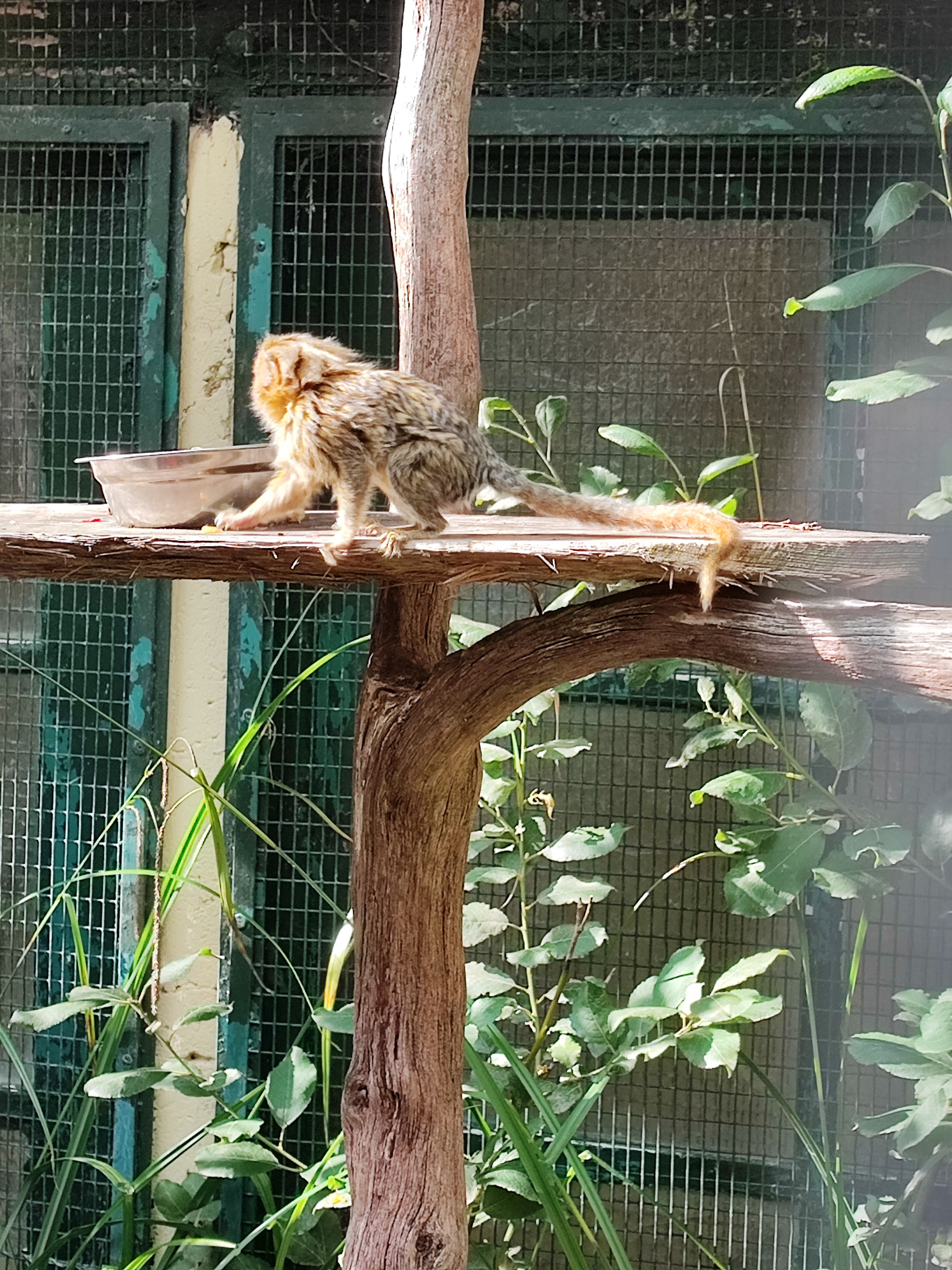 Photo n° 4 de l'avis de Stéphane.o fait le 25/09/2022 à 07:34