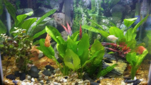 Pet Supply Store «Pet Supermarket», reviews and photos, 2800 Raeford Rd, Fayetteville, NC 28303, USA