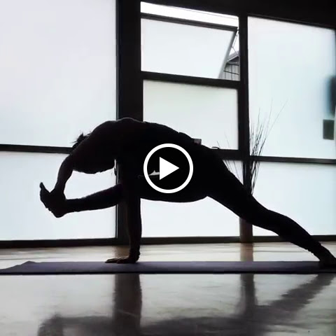 Rock Climbing Gym «Seattle Bouldering Project», reviews and photos, 900 Poplar Pl S, Seattle, WA 98144, USA