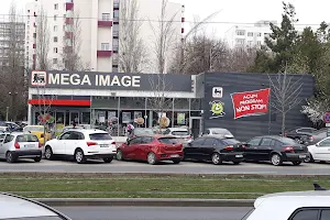Mega Image TITAN image