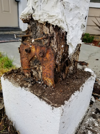 Moat Termite & Pest Control image