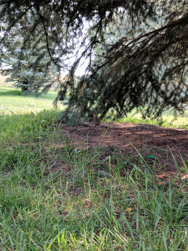 Golf Course «Family Sports Center Golf Course», reviews and photos, 6901 S Peoria St, Centennial, CO 80112, USA