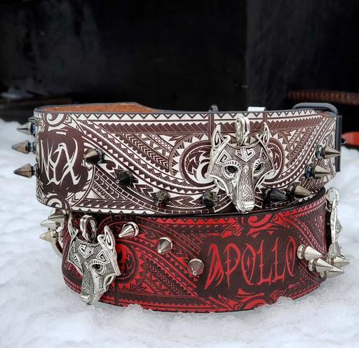 Pet Supply Store «Bully Zone Pet Supplies & Pet Grooming», reviews and photos, 1409 McCarter Hwy, Newark, NJ 07104, USA