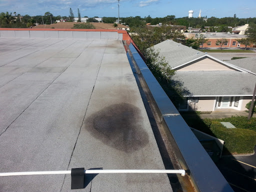 Insurance Agency «AAA Bradenton», reviews and photos