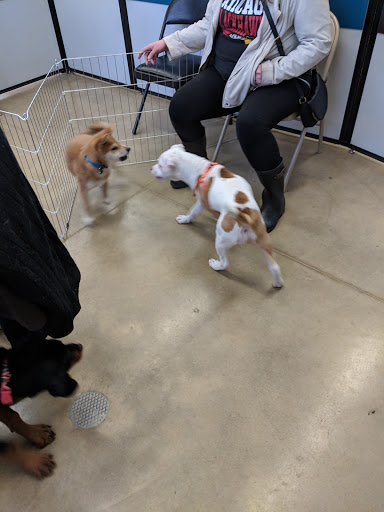 Pet Supply Store «Petco Animal Supplies», reviews and photos, 28400 Dequindre Rd, Warren, MI 48092, USA