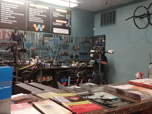 Bicycle Store «Windsor Bicycle Center», reviews and photos, 830 McClelland Dr, Windsor, CA 95492, USA