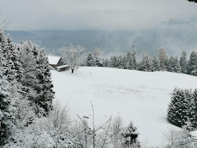 Oberrüti Spitz