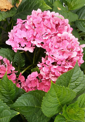 Museum «Salem Witch Museum», reviews and photos, 19 1/2 Washington Square, Salem, MA 01970, USA