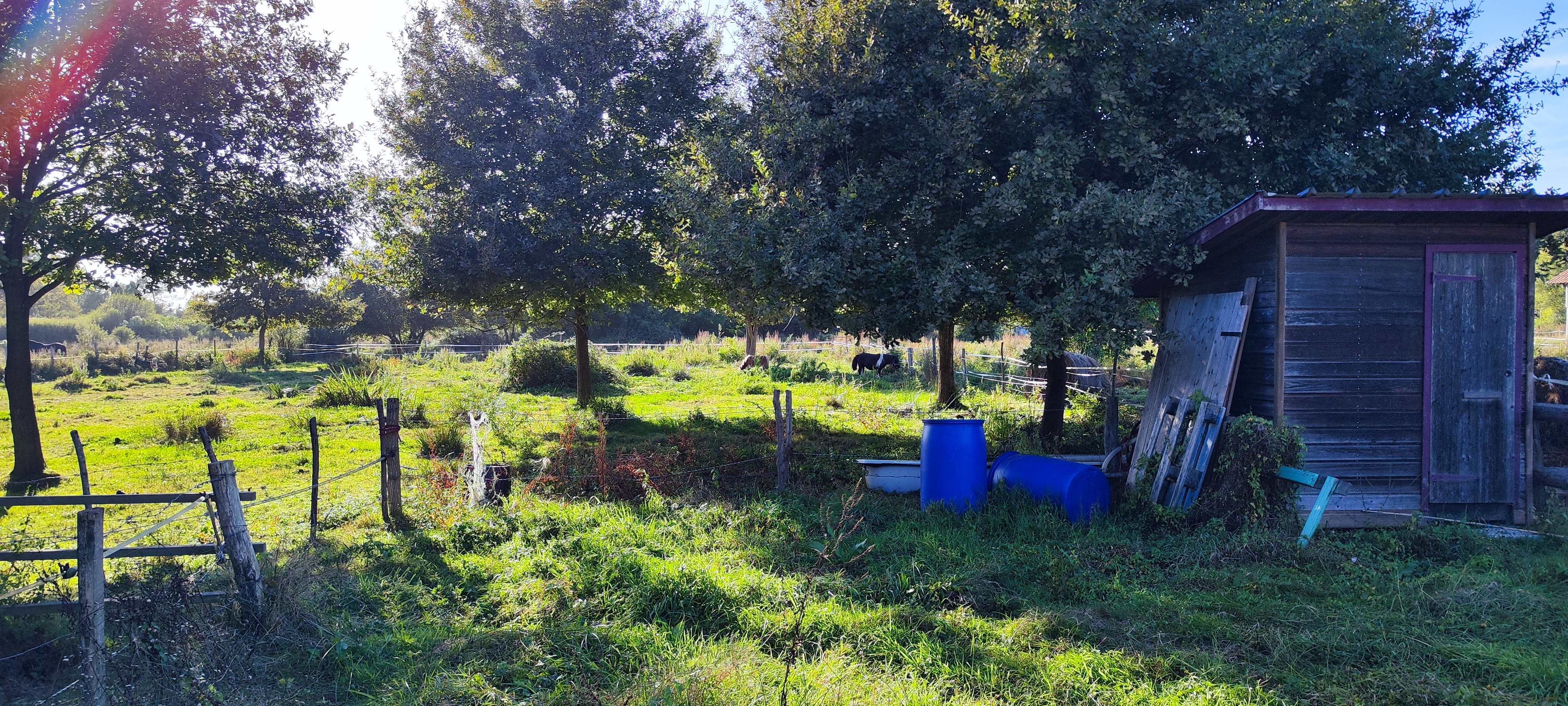 Photo n° 1 de l'avis de rene.a fait le 23/04/2019 à 18:07