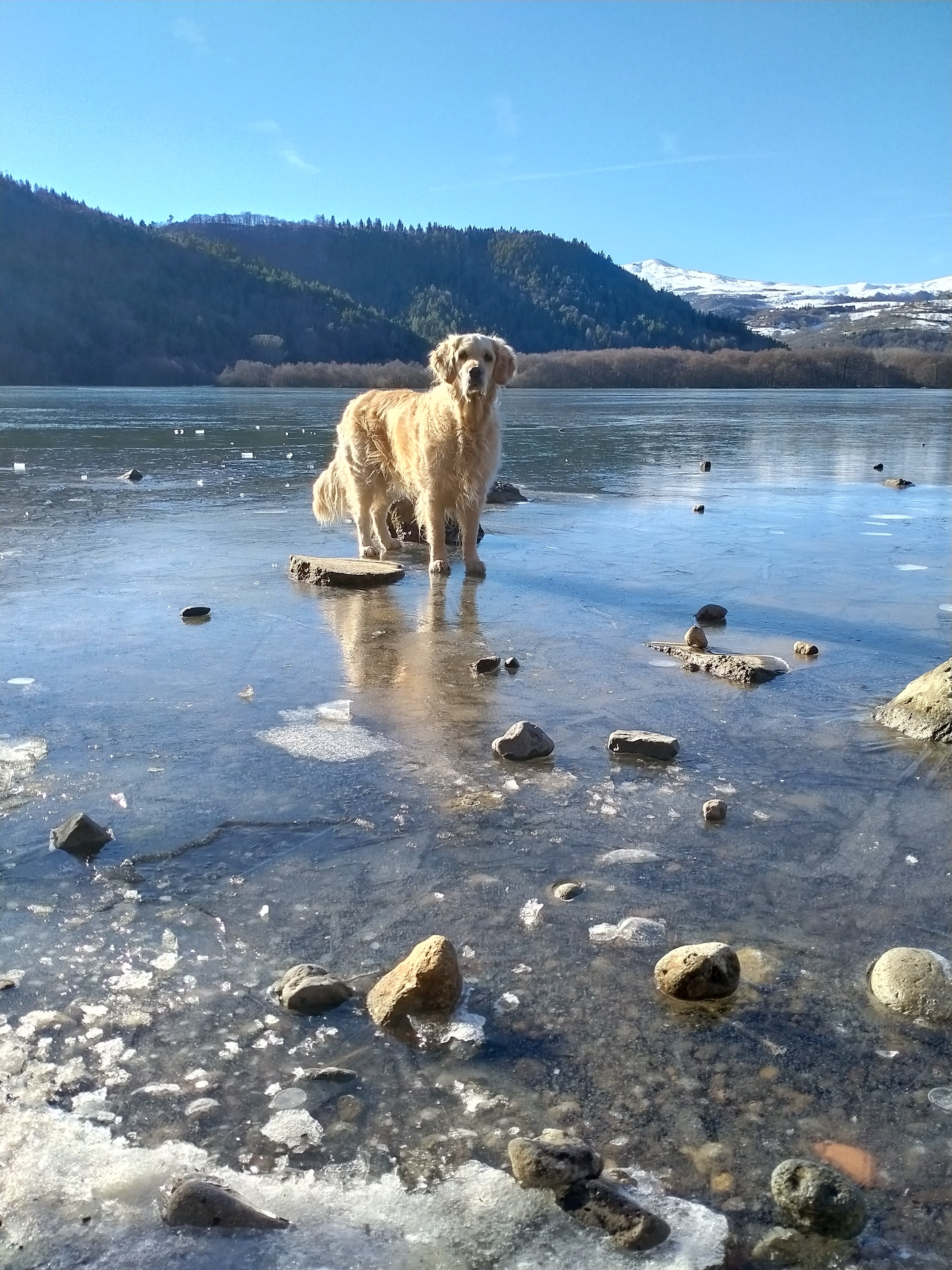 Photo n° 1 de l'avis de Carole.e fait le 17/01/2022 à 14:45