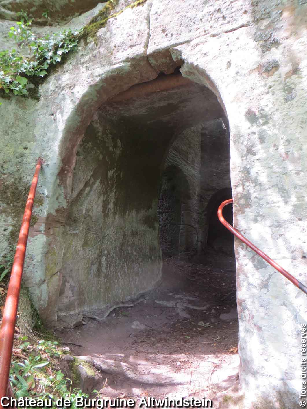 Photo n° 10 de l'avis de Curieux.e fait le 07/05/2021 à 16:43