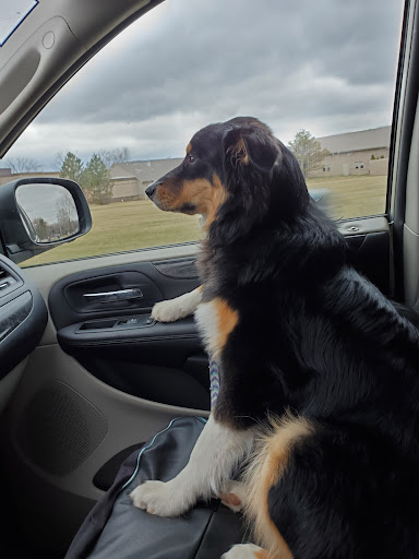 9780 Dixie Hwy, Village of Clarkston, MI 48348, USA