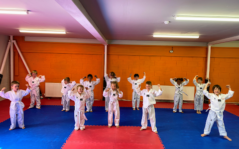 Premier Taekwondo Mirfield image