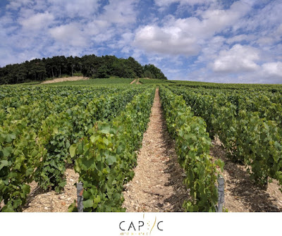 Champagne Régis Barbe à Ville-sur-Arce