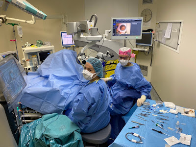 Dr Cynthia KAMAMI-LEVY à Paris