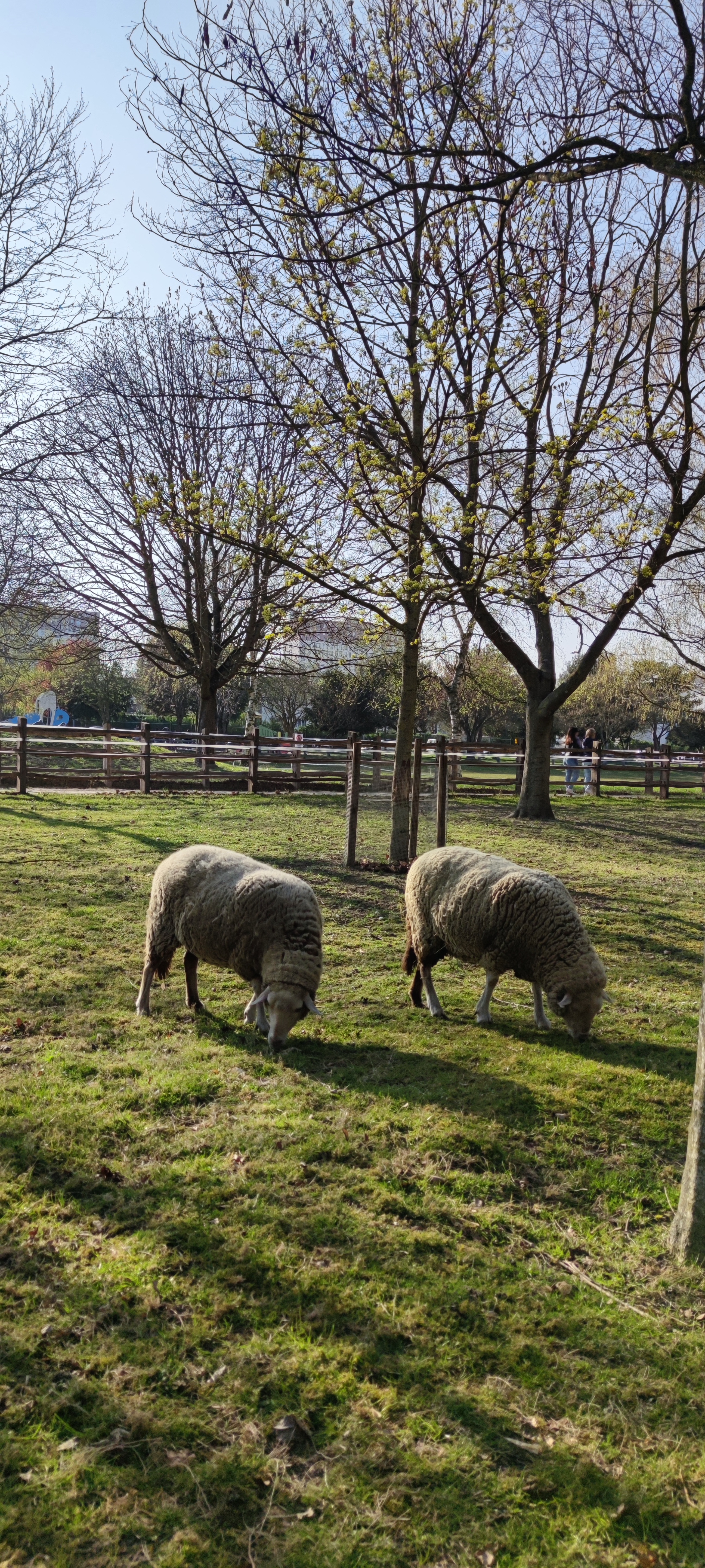 Photo n° 3 de l'avis de Cécile.A fait le 16/04/2022 à 14:40