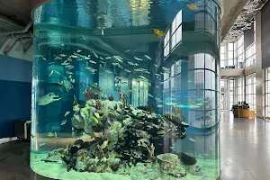 South Carolina Aquarium image