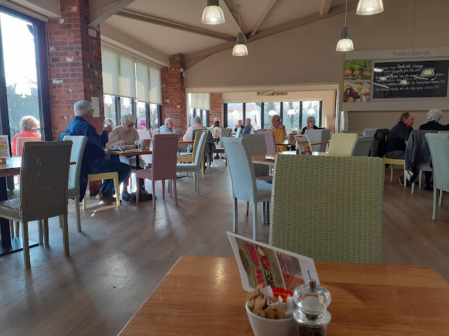 Comments and reviews of The Balloon Tree Farmshop & Cafe