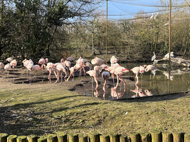 Eindhoven Zoo (voorheen Dierenrijk) - Mierlo