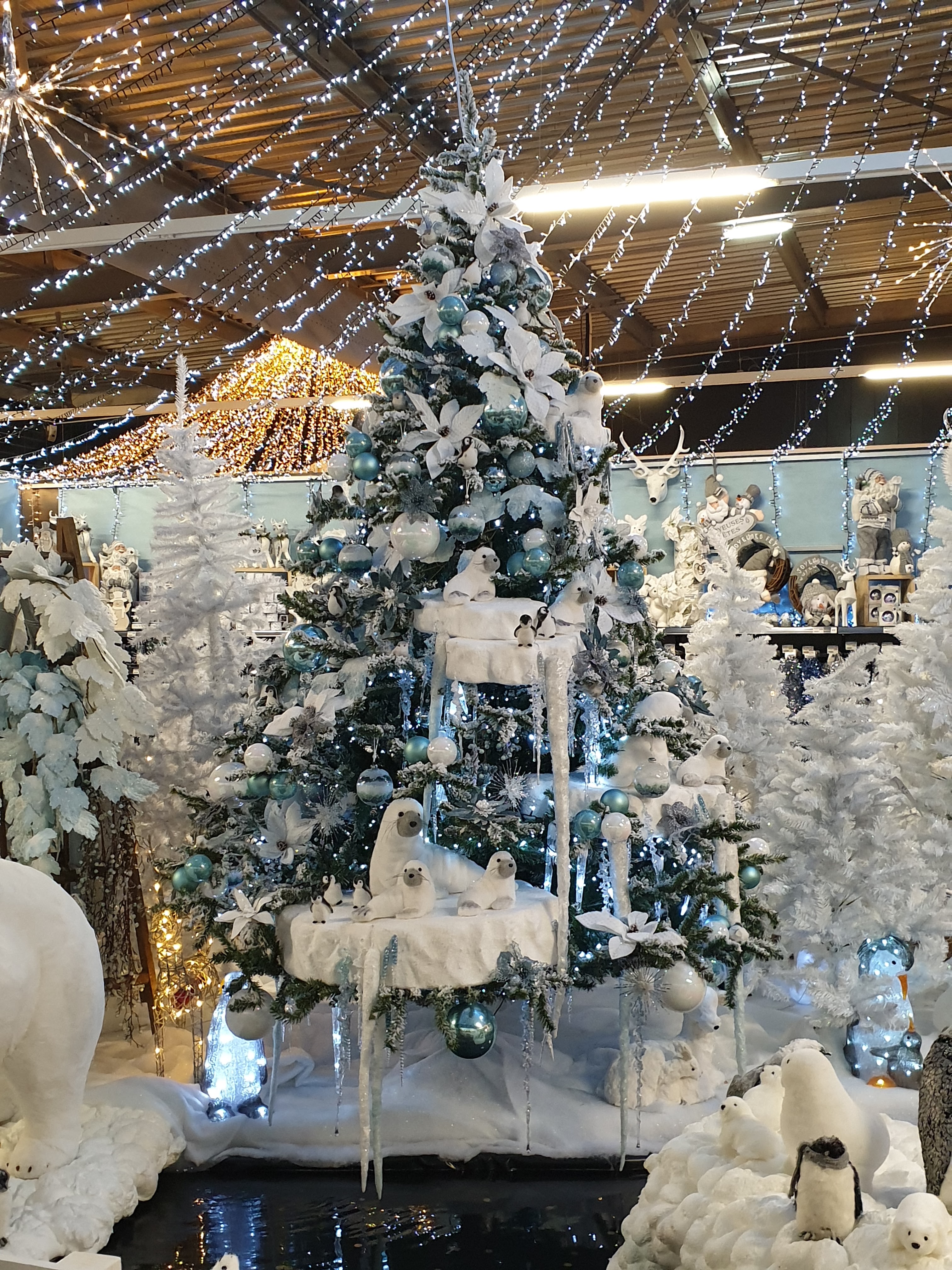 Photo n° 4 de l'avis de Isa.o fait le 15/12/2019 à 17:47