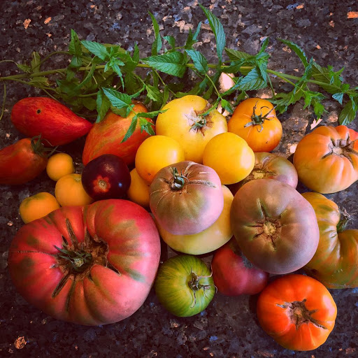 American Restaurant «Nosh Eatery & Creative Catering», reviews and photos, 5929 Darrow Rd #2, Hudson, OH 44236, USA