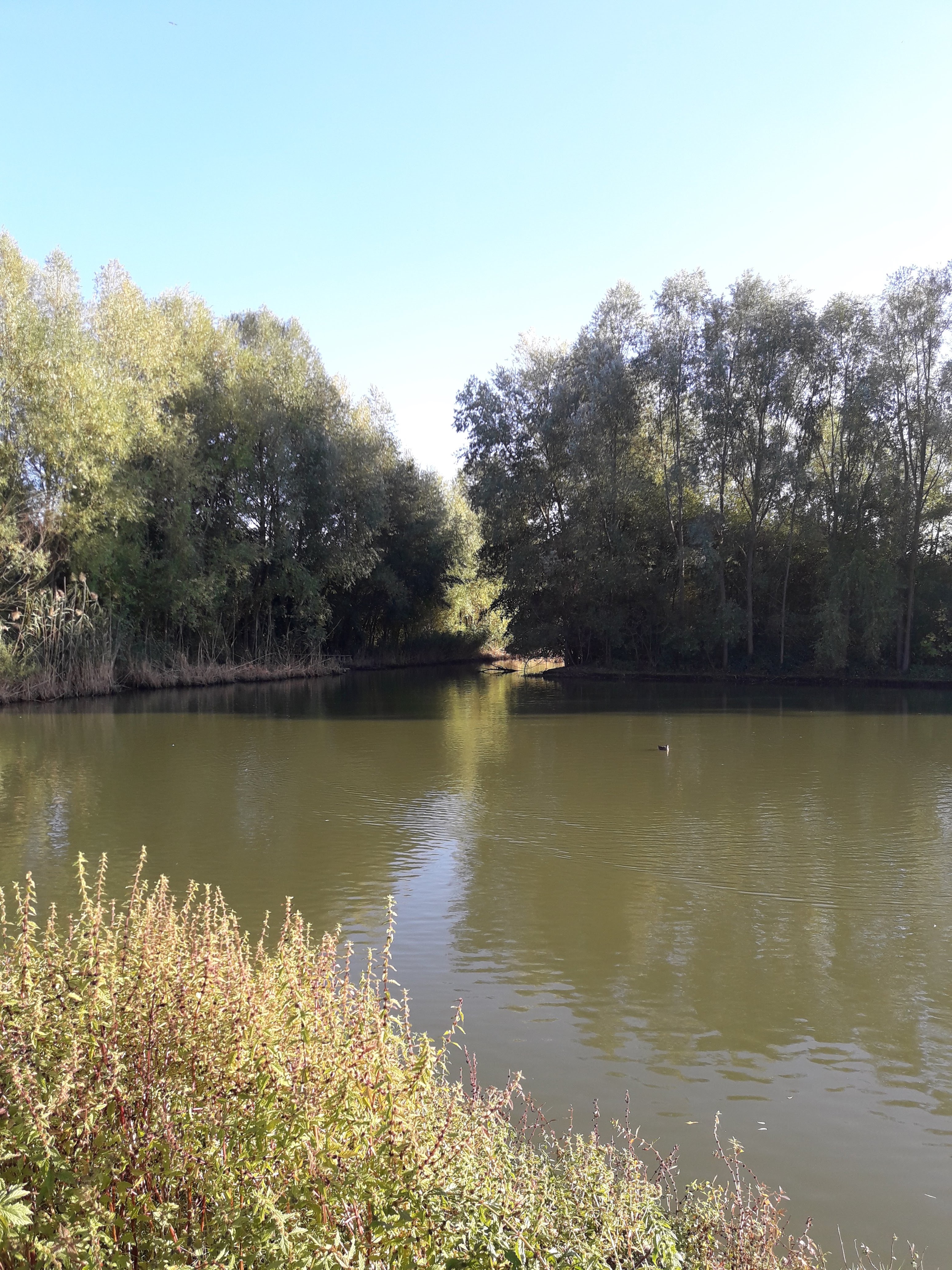 Photo n° 4 de l'avis de bridget.e fait le 21/10/2018 à 19:48
