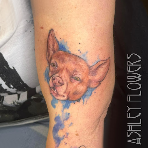 Explore tattoo animal ideas, creative tattoo ideas in Bridgeport, available at Pike Street Studios Tattoo and Body Piercing