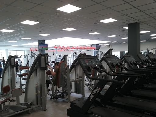 Evo fit en Vilagarcía de Arousa, Pontevedra