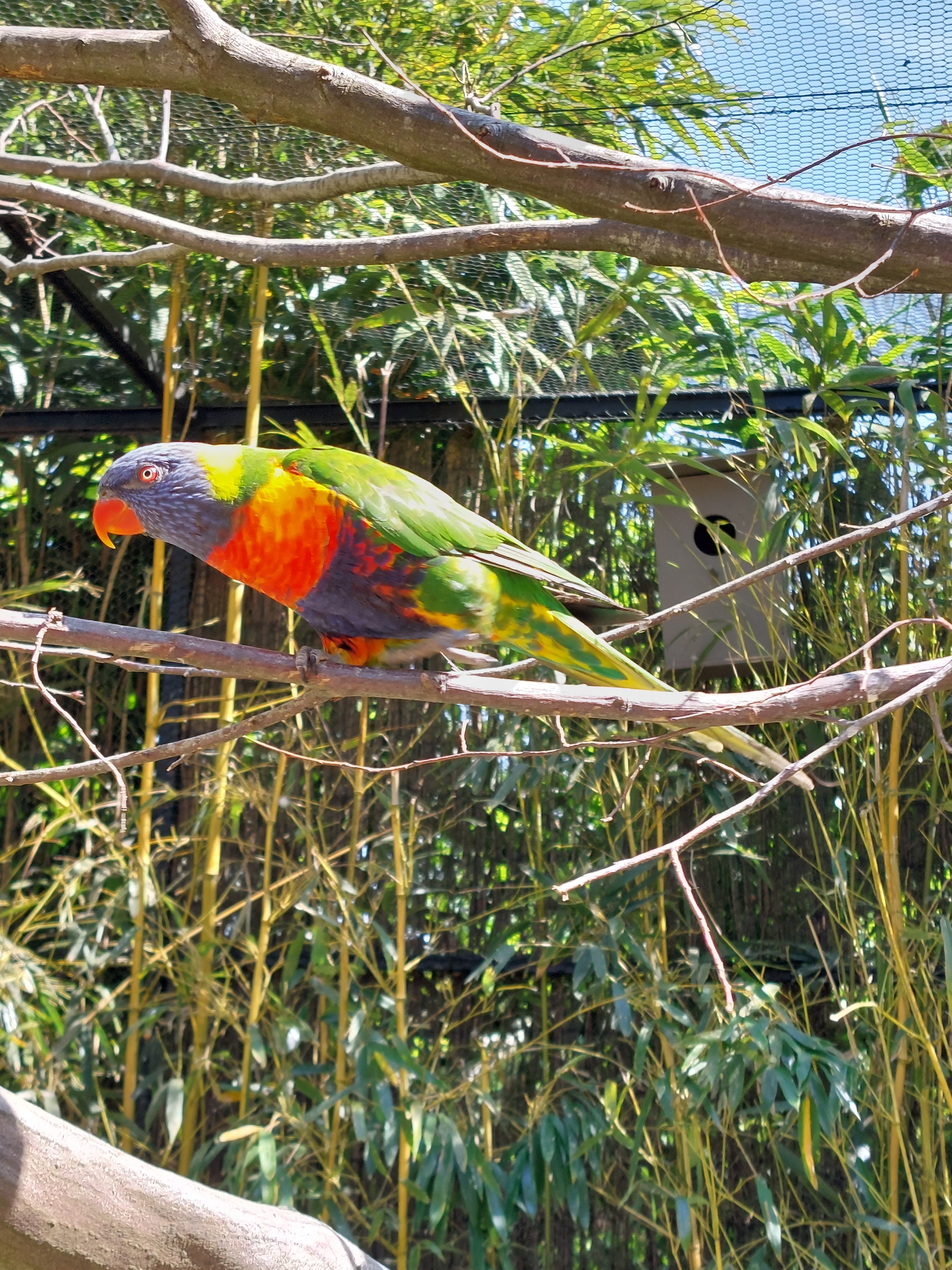 Photo n° 1 de l'avis de Anais. fait le 02/06/2023 à 17:52