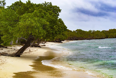 Playa Mero - RP9X+X32, Agua Salobre, Falcón, Venezuela