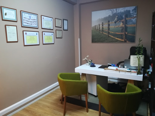 Información y opiniones sobre Psicología en Santander – Irene Ferreras de Santander