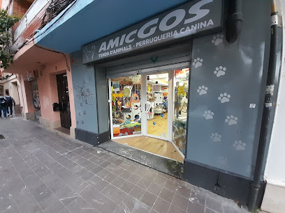 Amicgos - Servicios para mascota en Valencia