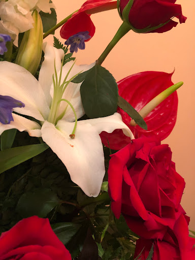 Florist «Mockingbird Lane Florist», reviews and photos, 5606 E Mockingbird Ln, Dallas, TX 75206, USA