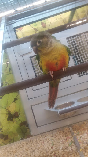 Pet Store «PetSmart», reviews and photos, 14903 4th Ave SW Ste 200, Burien, WA 98166, USA