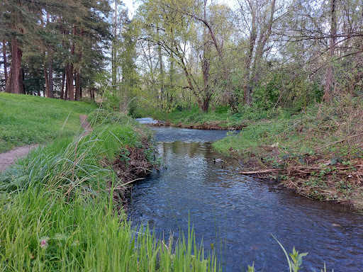 Bush's Pasture Park