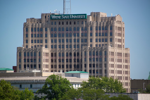 Wayne State University Department of African American Studies