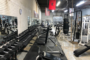 Real Steel Gym