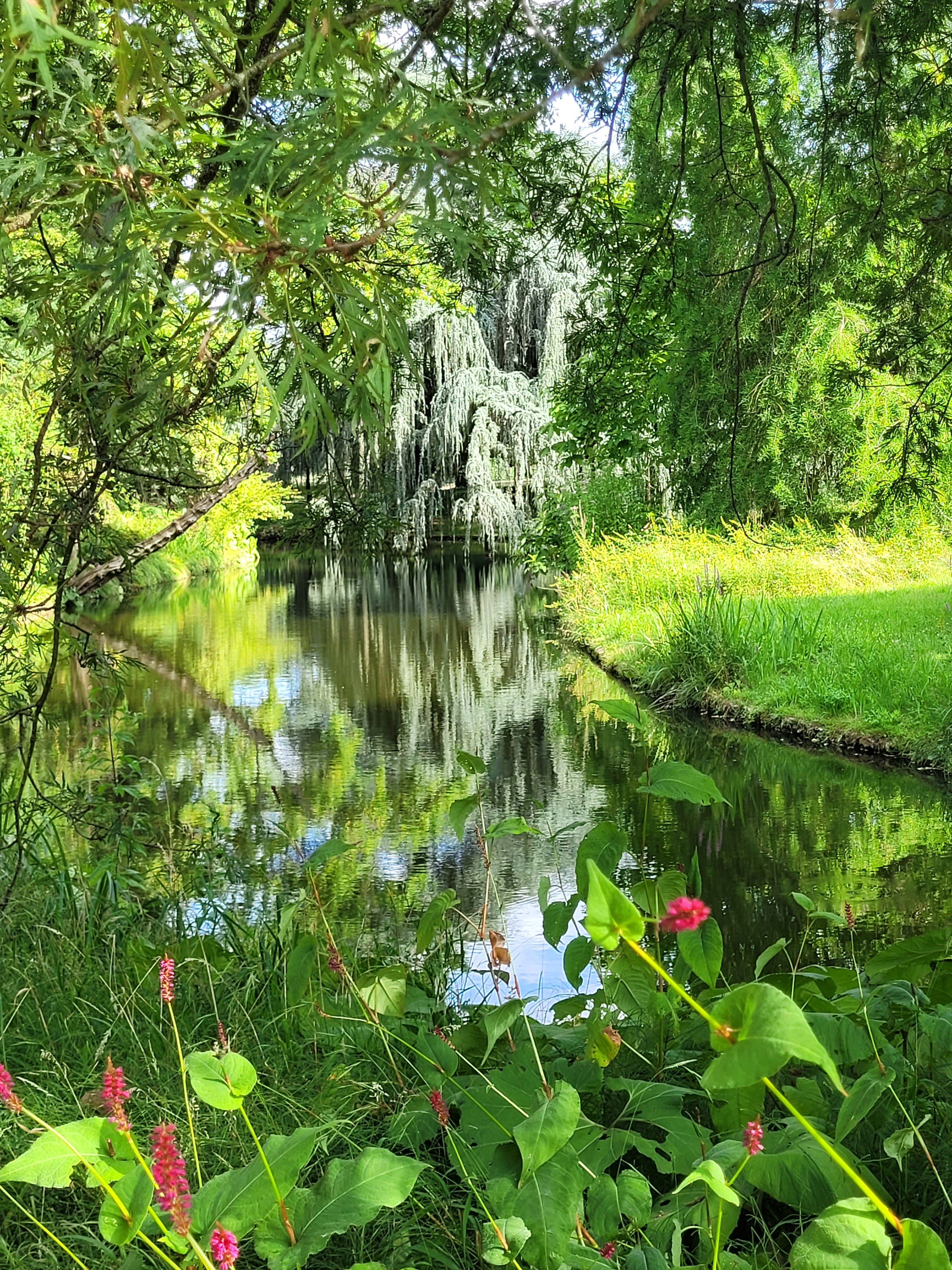 Photo n° 4 de l'avis de Dilo. fait le 31/07/2023 à 16:12
