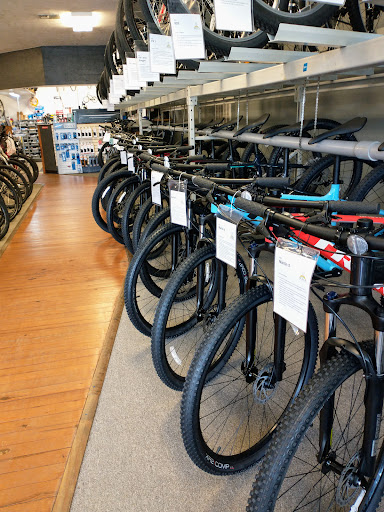 Bicycle Store «Ocala Bicycle Center», reviews and photos, 2801 SW 20th St, Ocala, FL 34474, USA
