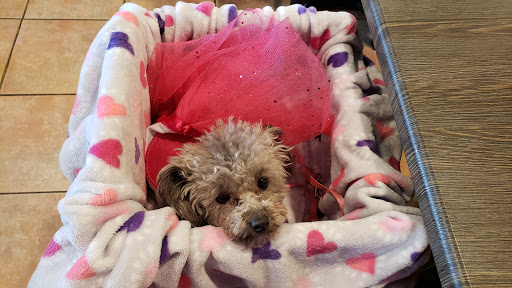 Shopping Mall «Valley Creek Mall», reviews and photos, 1750 Weir Dr, St Paul, MN 55125, USA