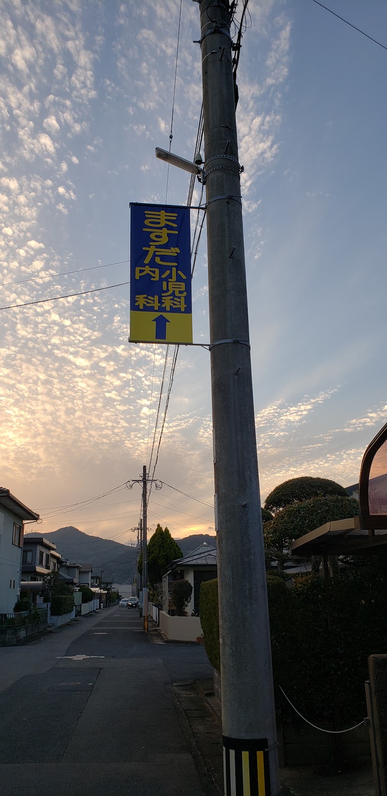 ますだ小児科内科医院