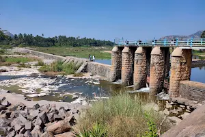 Nedungal Dam image