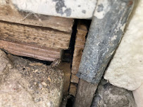 Eco-Friendly Pest Control Sioux Falls S.D. - Photo 2 - Car repair in , Sioux Falls