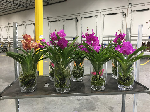 Florist «Flowers By Pouparina», reviews and photos, 7701 W 26th Ave #7, Hialeah, FL 33016, USA